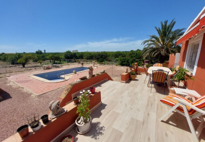 Finca - Resale - San Miguel de Salinas - San Miguel de Salinas