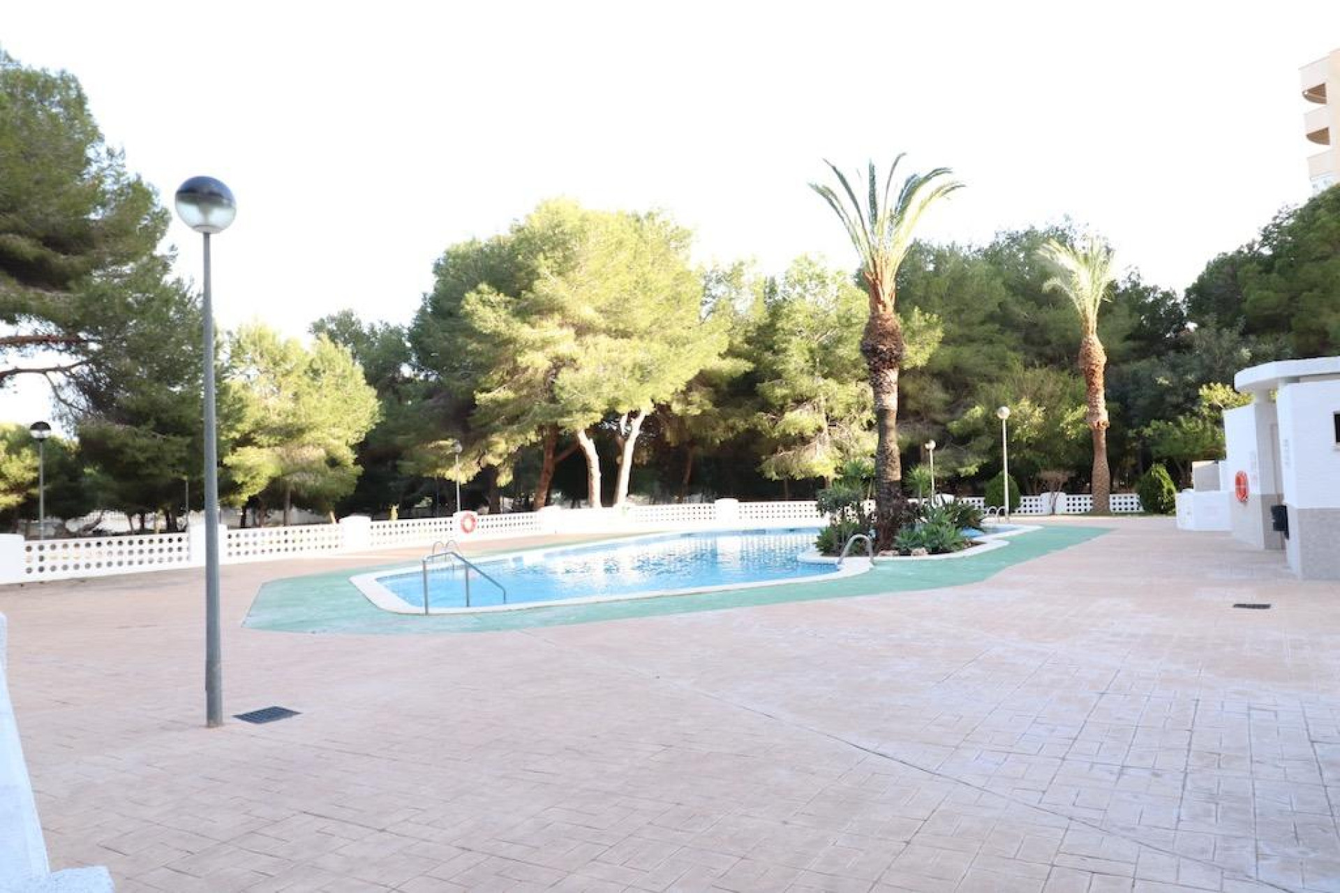 Resale - Apartment / flat - Orihuela Costa - Campoamor