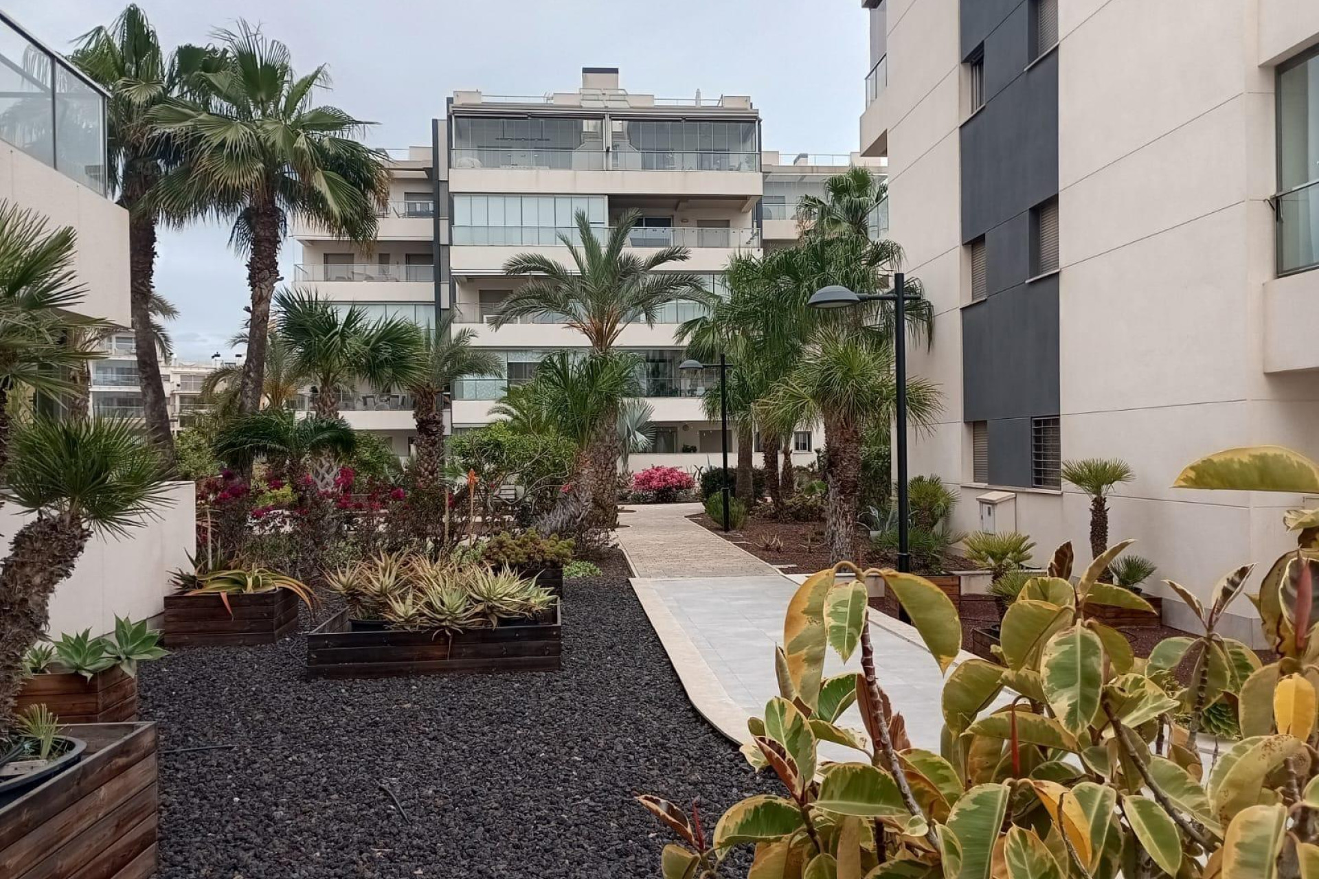 Resale - Apartment / flat - Orihuela Costa - La Zenia