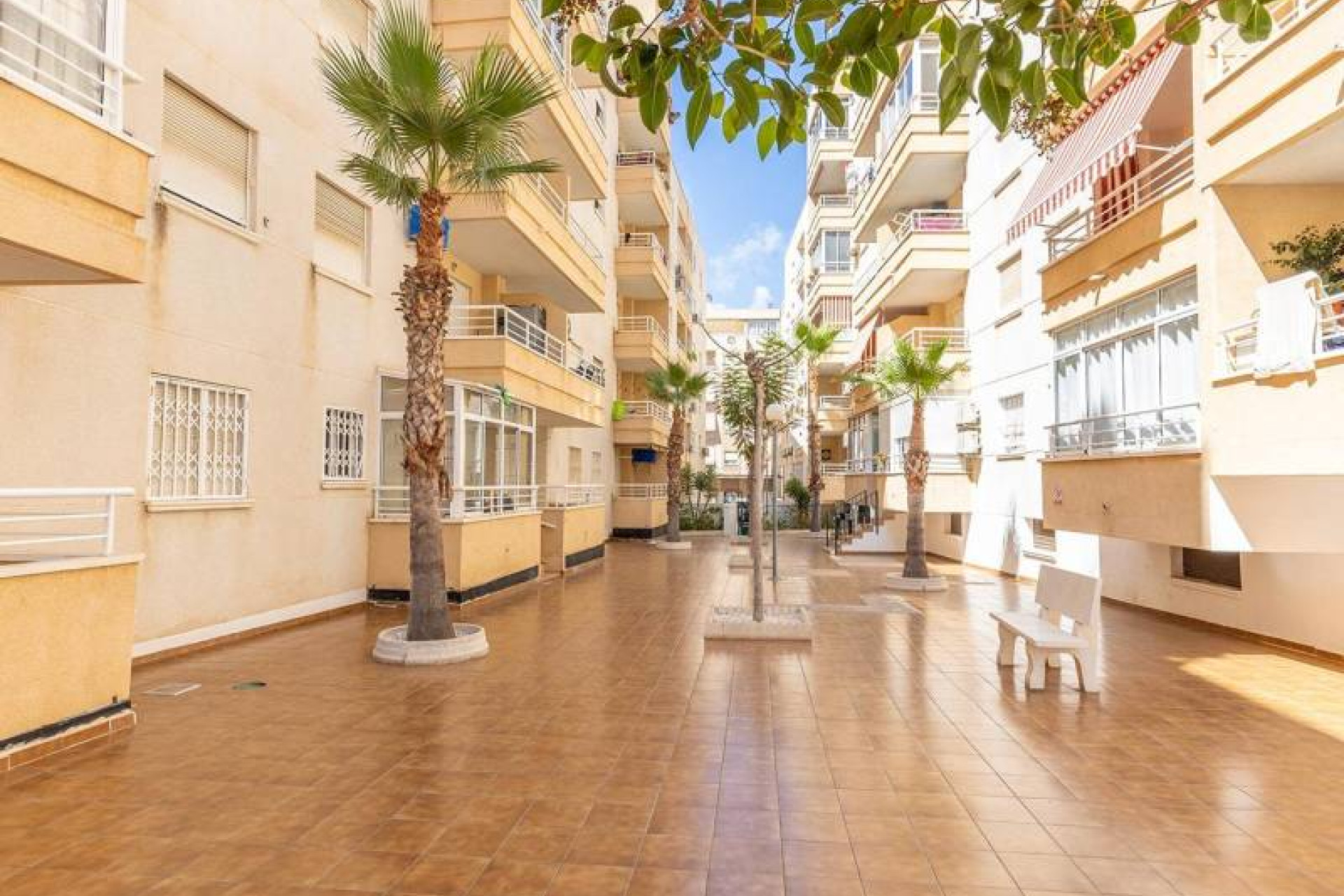 Resale - Apartment / flat - Torrevieja - Estacion de autobuses