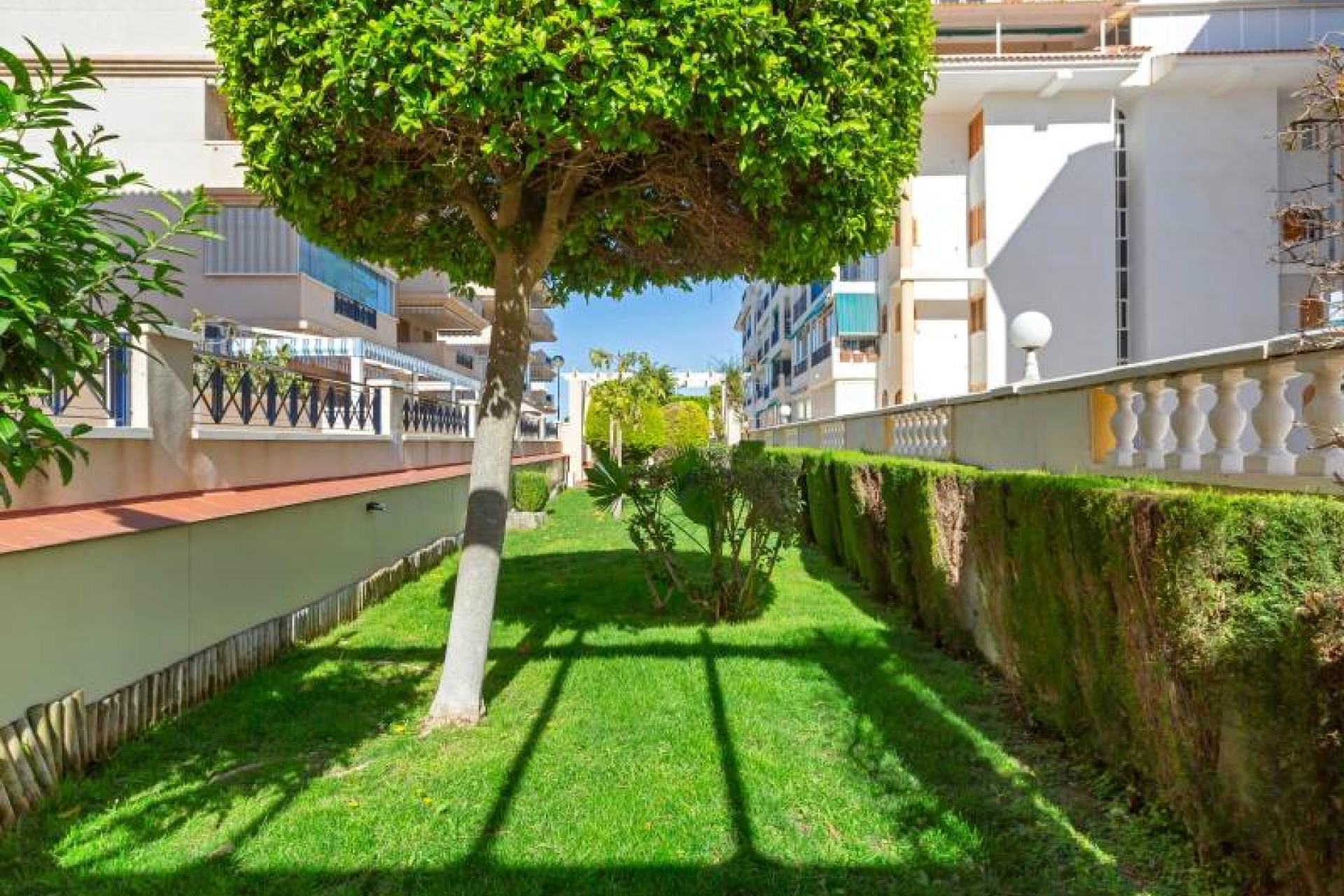 Resale - Apartment / flat - Torrevieja - La Mata