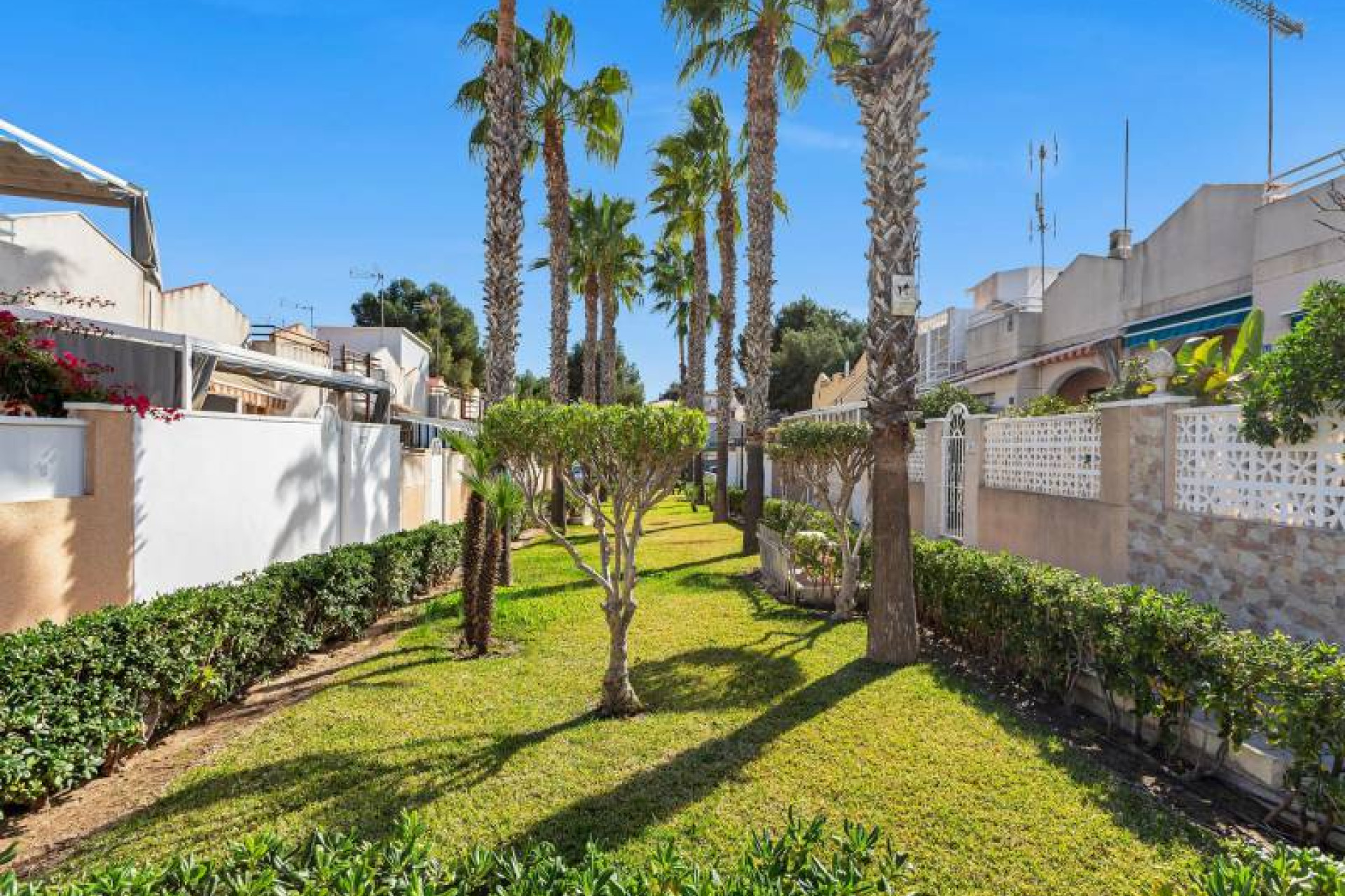 Resale - Apartment / flat - Torrevieja - Lago jardin