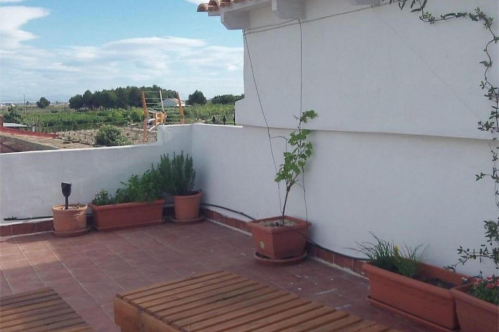 Resale - Bungalow - Almoradi - El saladar