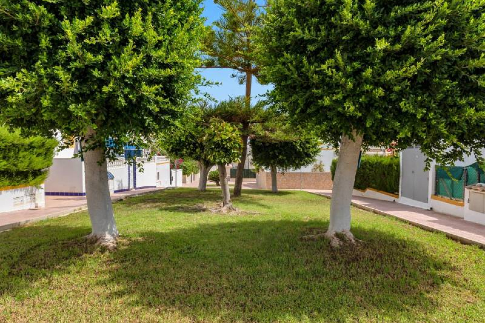 Resale - Bungalow - Torrevieja - Los altos