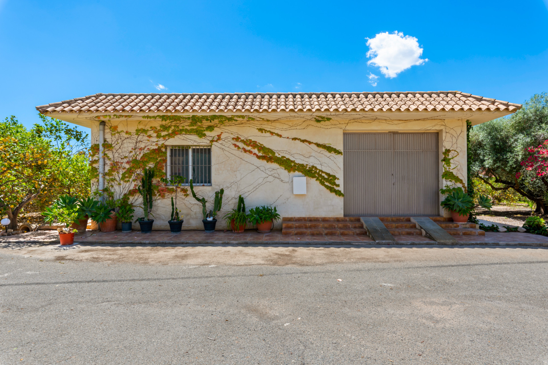 Resale - Country estate - Elche - Elche/Elx