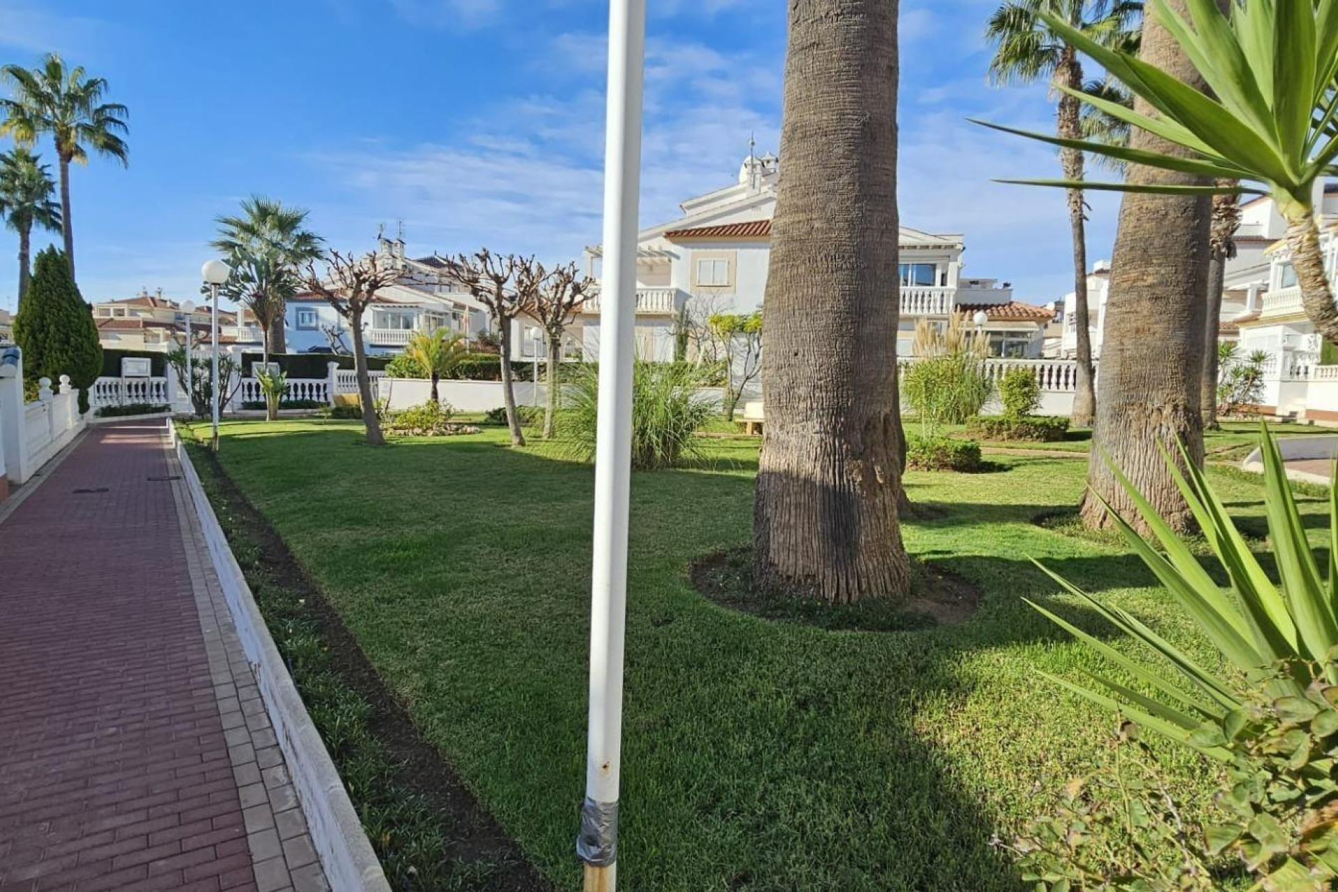 Resale - Duplex - Orihuela Costa - Punta Prima