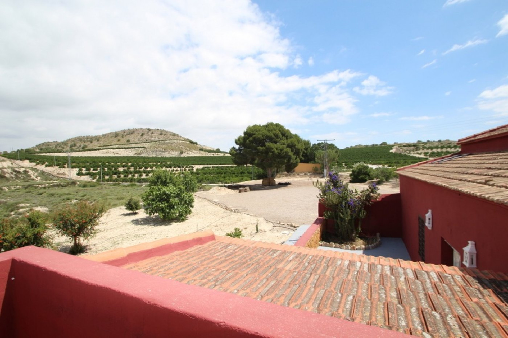 Resale - Finca - Orihuela Costa - Torremendo