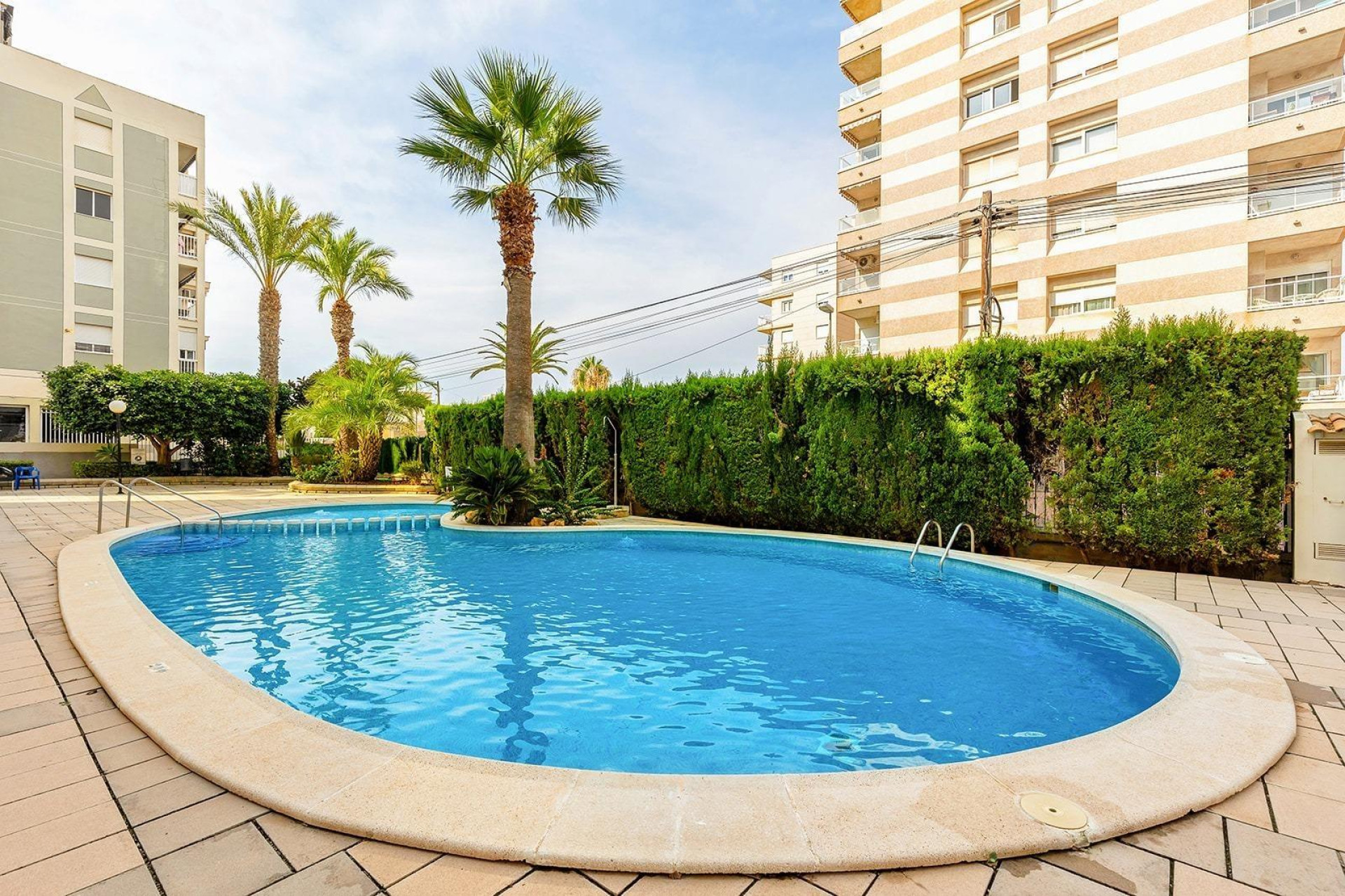 Resale - Penthouse - Torrevieja - Estacion de autobuses