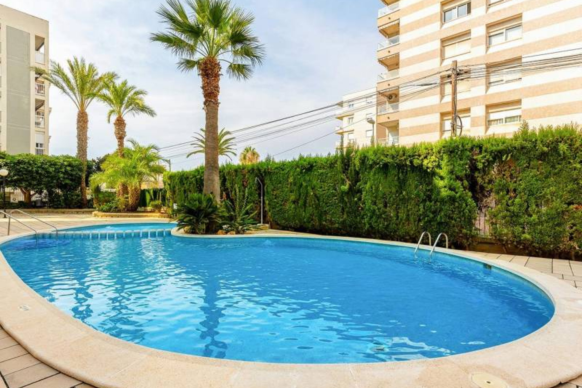 Resale - Penthouse - Torrevieja - Nueva Torrevieja