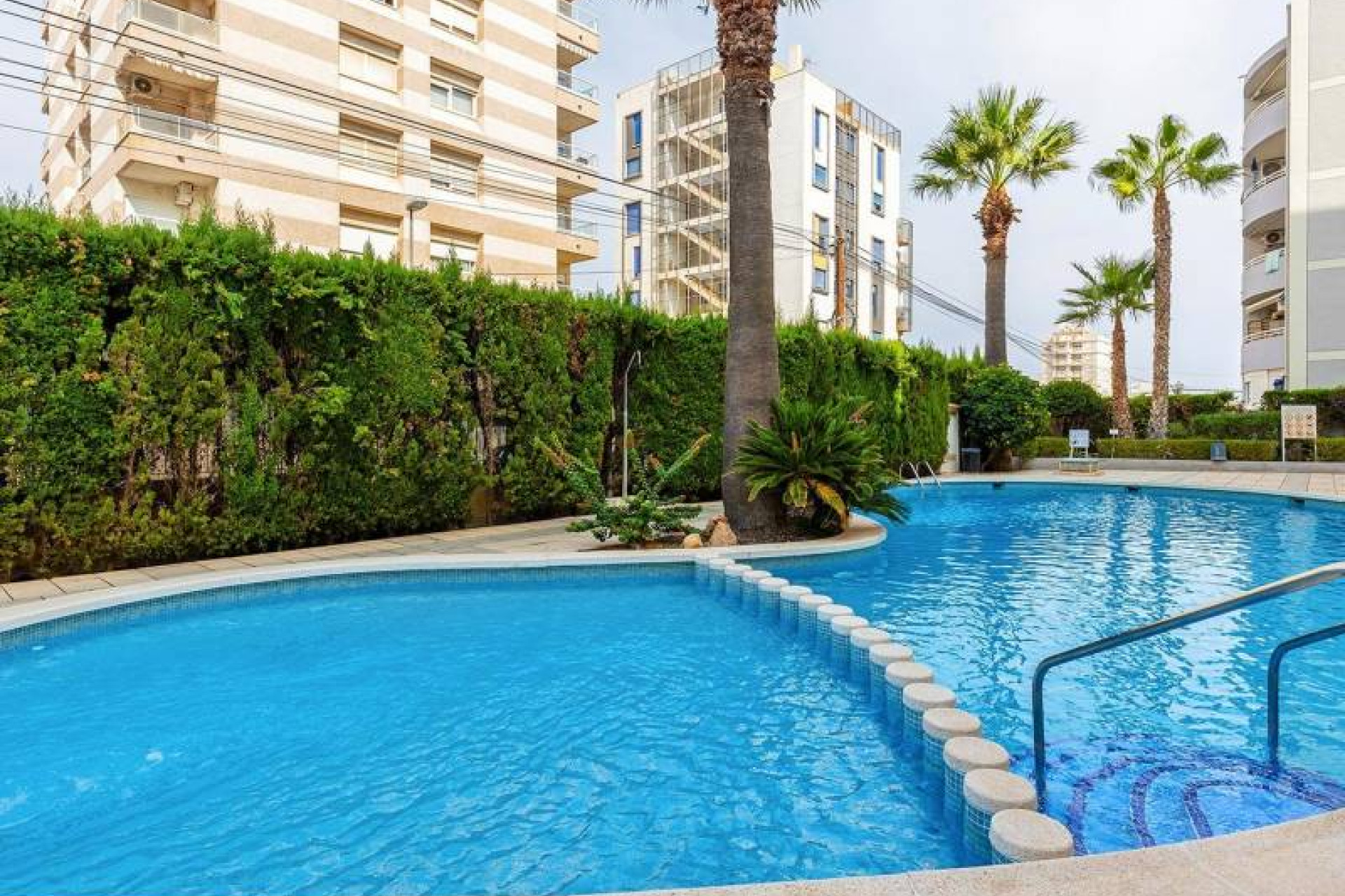 Resale - Penthouse - Torrevieja - Nueva Torrevieja