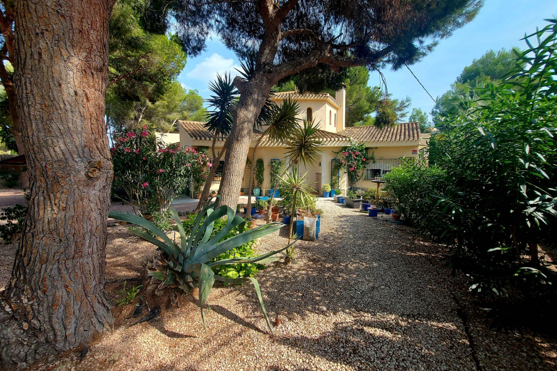 Resale - Villa - Algorfa - Montemar