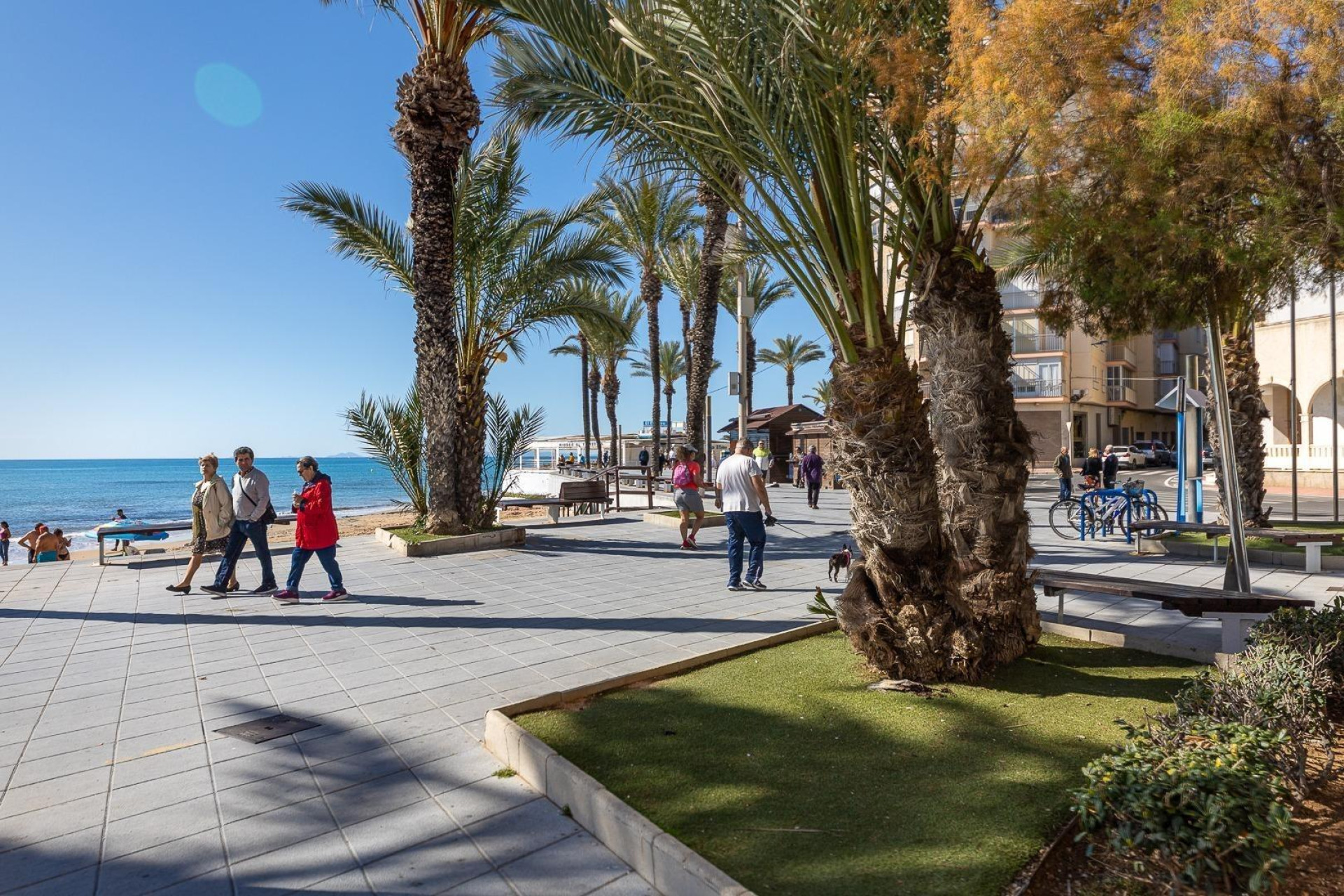 Revente - Bungalow - Torrevieja - Estacion de autobuses