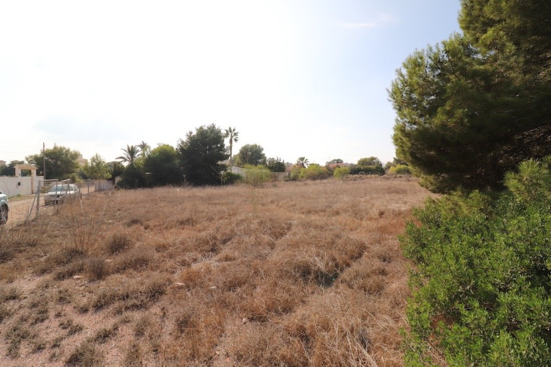 Revente - Parcelle / Terrain - Orihuela Costa - Lomas de Cabo Roig