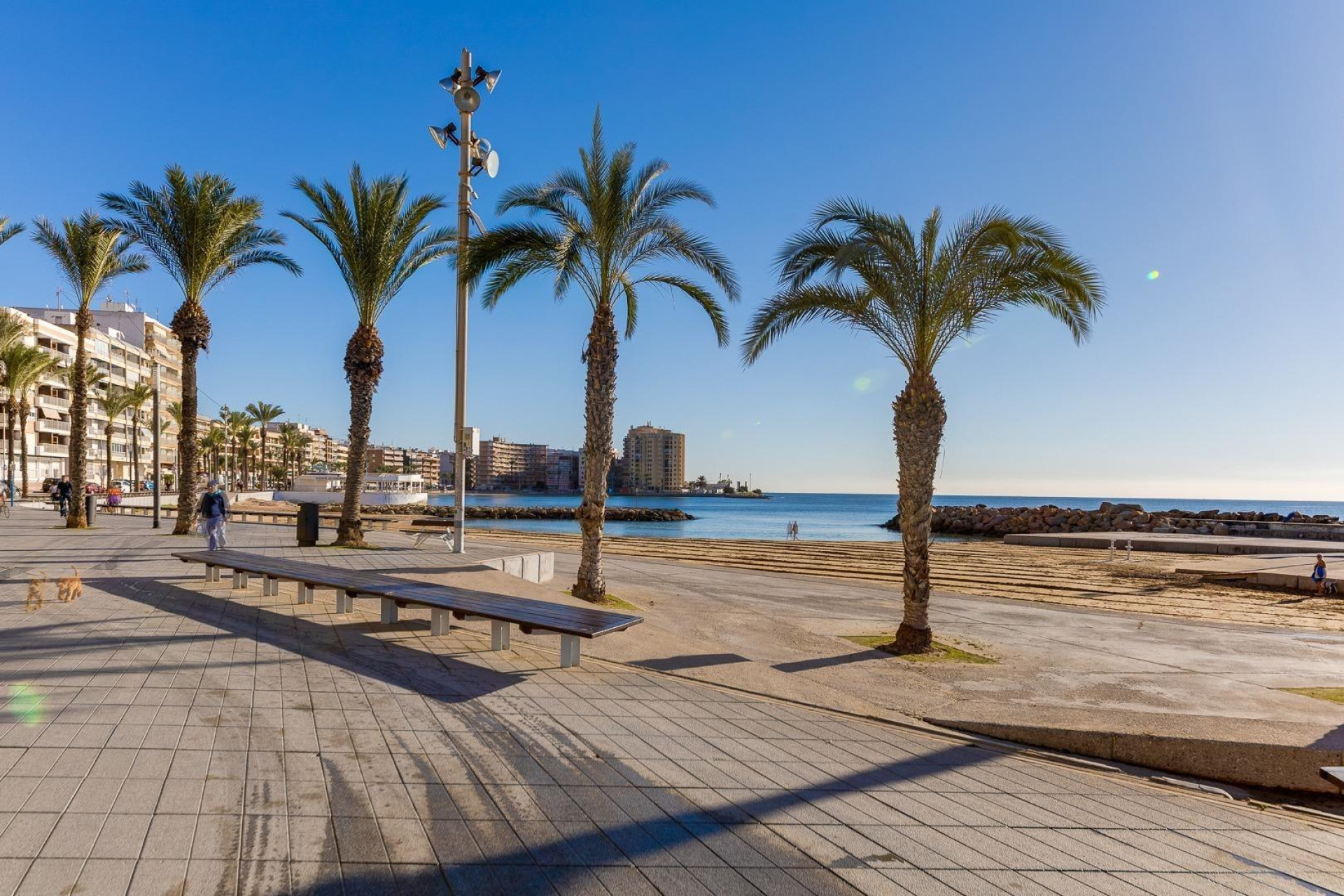 Revente - Studio - Torrevieja - Estacion de autobuses