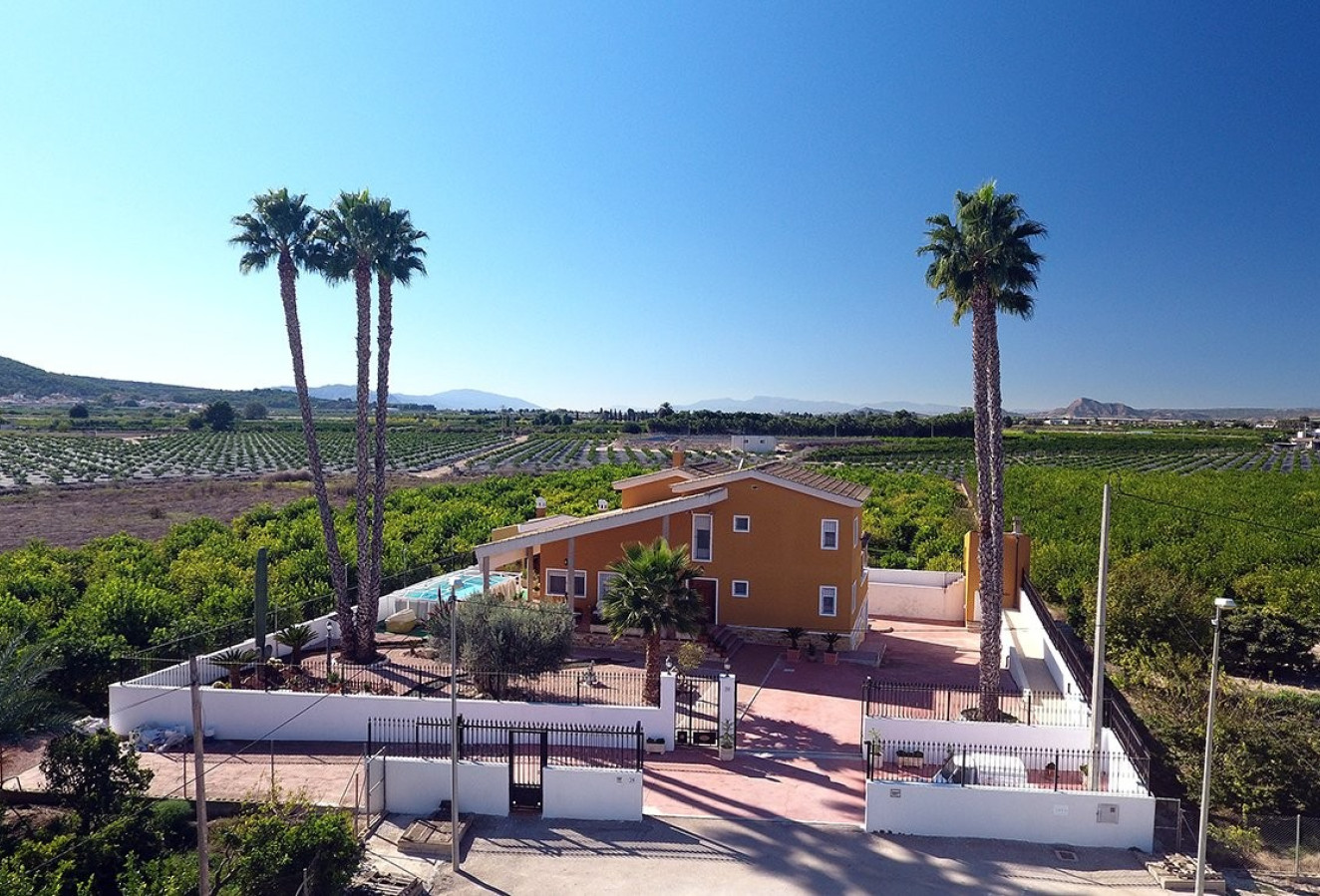 Reventa - Finca - Orihuela Costa - Orihuela