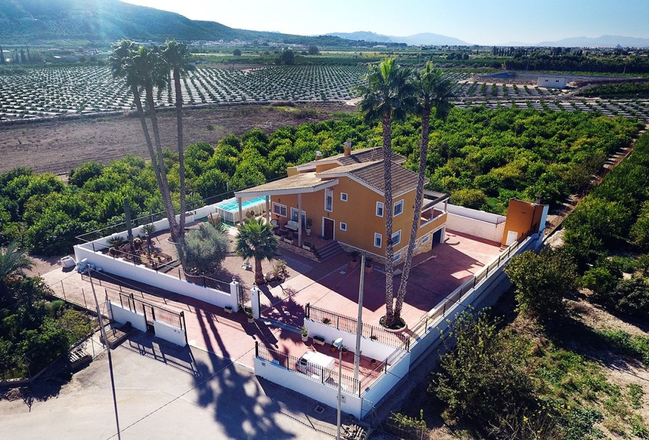 Reventa - Finca - Orihuela Costa - Orihuela