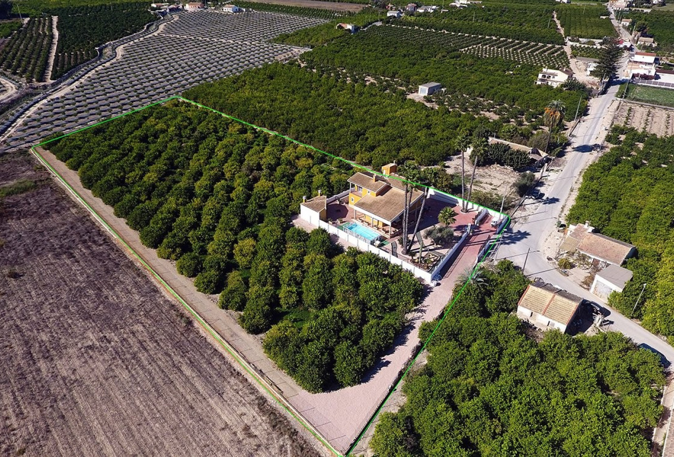 Reventa - Finca - Orihuela Costa - Orihuela