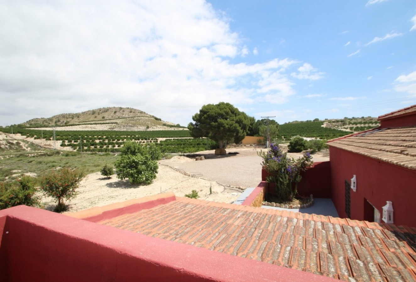 Reventa - Finca - Orihuela Costa - Torremendo