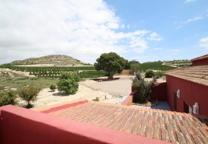 Reventa - Finca - Orihuela Costa - Torremendo