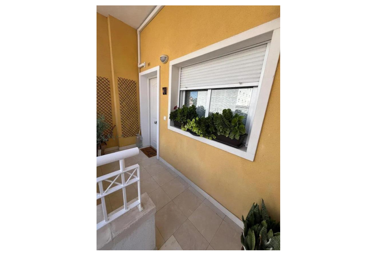 Reventa - Apartamento / piso - Almoradi - ALMORADI-CENTRO