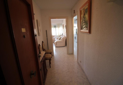 Reventa - Apartamento / piso - Torrevieja - Paseo maritimo