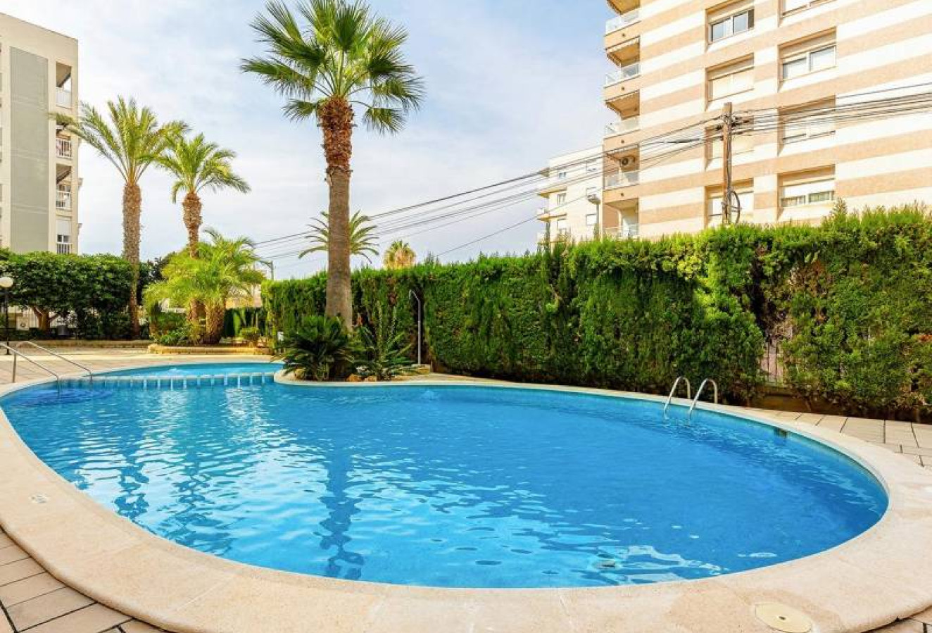 Reventa - Ático - Torrevieja - Nueva Torrevieja