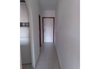 Reventa - Apartamento / piso - Torrevieja - Estacion de autobuses