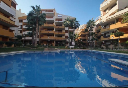 Reventa - Apartamento / piso - Torrevieja - Punta prima